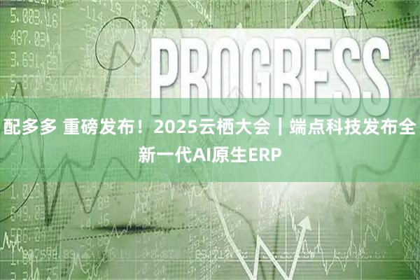 配多多 重磅发布！2025云栖大会｜端点科技发布全新一代AI原生ERP